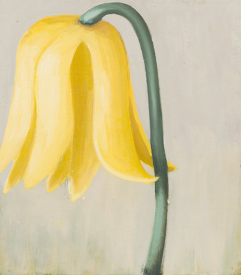 Cristof Yvoré - Untitled