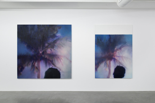 Then, maybe, the explosion of a star - Installation view