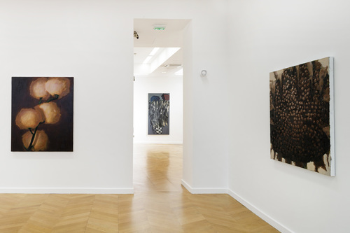 Pots, lapin, fenêtres, fleurs - Installation view