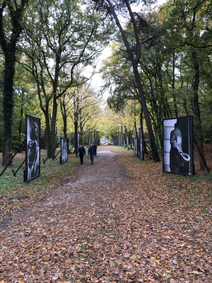 IKONEN by Anton Corbijn - Installation view