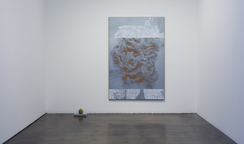 N. Dash - Installation view