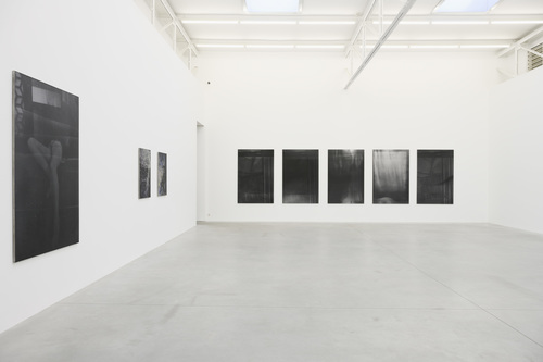 Dear deer , - Dirk Braeckman - Installation view