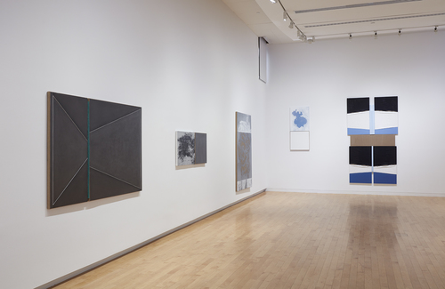 N. Dash - Installation view