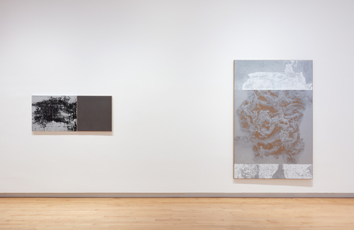 N. Dash - Installation view