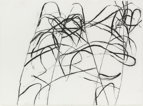 Susan Hartnett - Susan Hartnett - Oct. 10 2011 #1, Blue-joint grass (Calamagrostis canadensis)