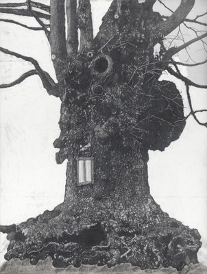 Het Muziekbos - Drawing of Old Trees on Wintry Days during 2007-2014