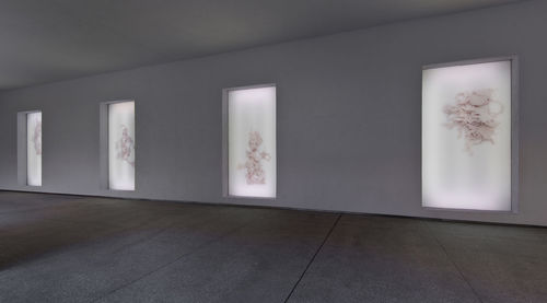 N. Dash - Installation view