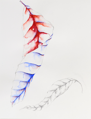 Lacuna - Grace Schwindt - Dancing Leaf