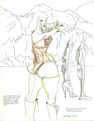 Anti-Sade - Kinesiology in Nursing