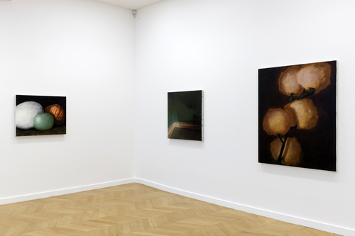Pots, lapin, fenêtres, fleurs - Installation view