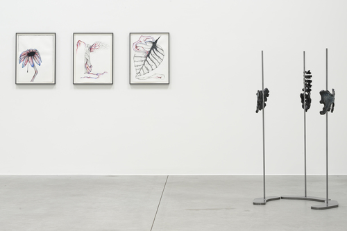 Lacuna - Grace Schwindt - Installation view