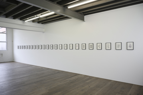 low fixed media show - 