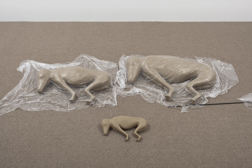 Parallel Occurences / Documented Assignments - Installation view