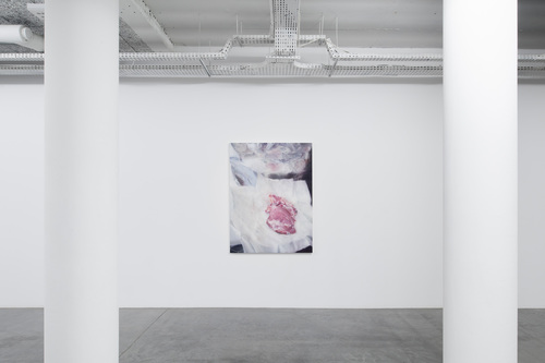 Then, maybe, the explosion of a star - Installation view