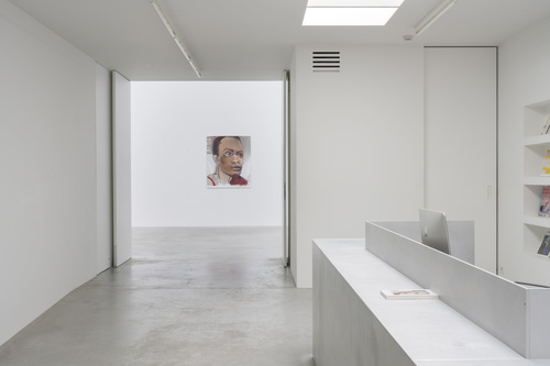 Double Takes - Installation view