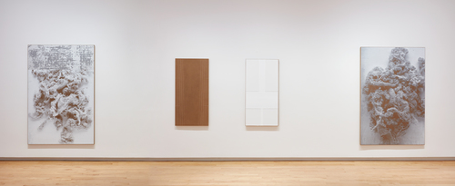 N. Dash - Installation view