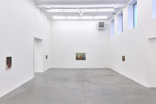 Coloured Cones - Michaël Borremans - Installation view