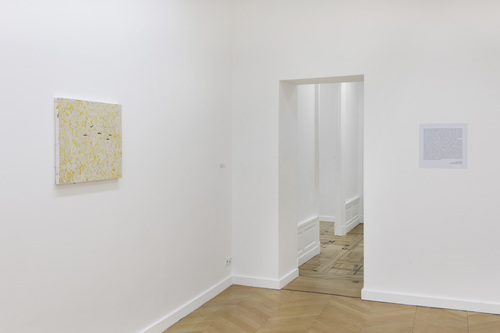 Marina Rheingantz - Installation view
