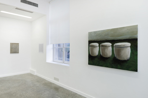 Pots, lapin, fenêtres, fleurs - Installation view
