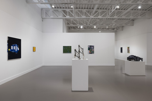 Friends in a Field: Conversations with Raoul De Keyser - Installation view