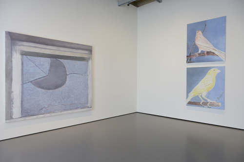 La Pelle - Installation view