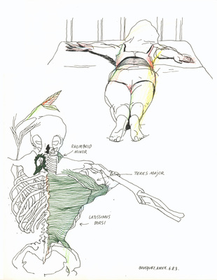 Anti-Sade - Latissimus Dorsi