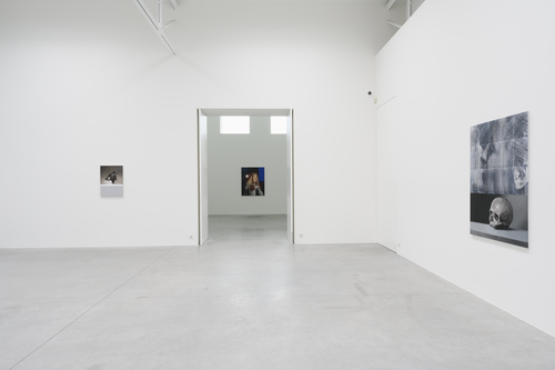 Bleeding Heart - Mircea Suciu - Installation view