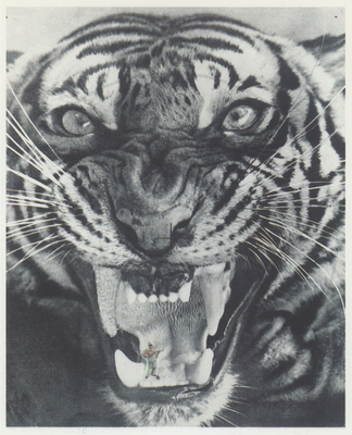 ZENO X GALLERY - Wees voorzichtig mijn jongen - Patrick Van Caeckenbergh