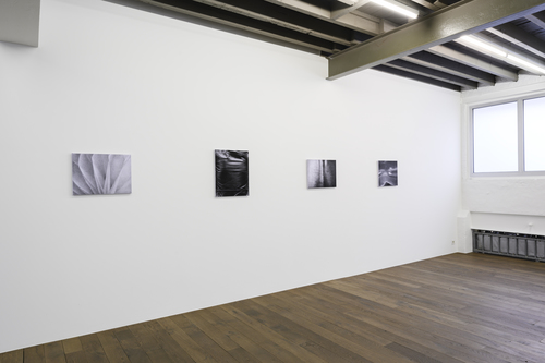 Off Road II - Installation view