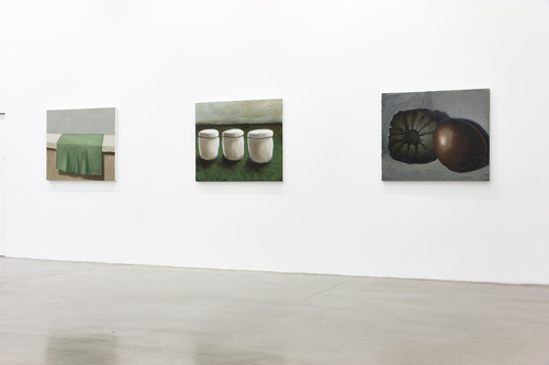 Pots, lapin, fenêtres, fleurs - Installation view