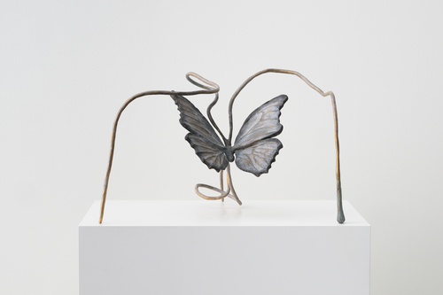 Lacuna - Grace Schwindt - Butterfly