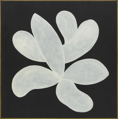 Off Road - Untitled, from Botânica