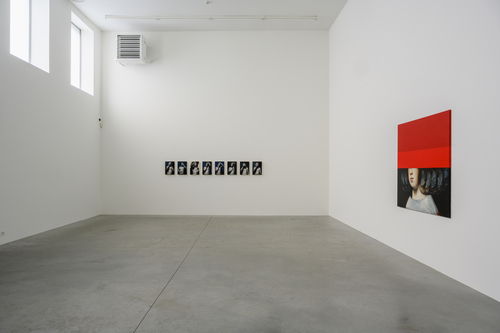 Bleeding Heart - Mircea Suciu - Installation view