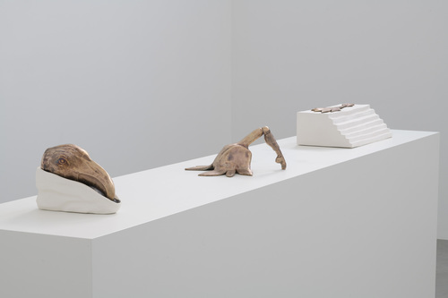 Silent Dance - Grace Schwindt - Installation view