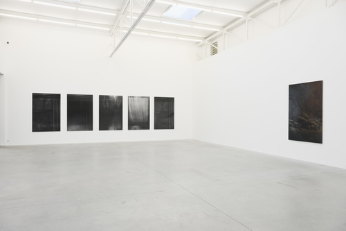 Dear deer , - Dirk Braeckman - Installation view