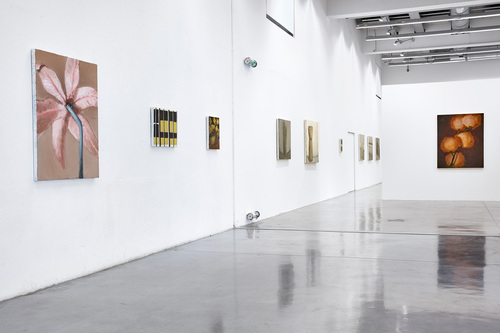 Pots, lapin, fenêtres, fleurs - Installation view