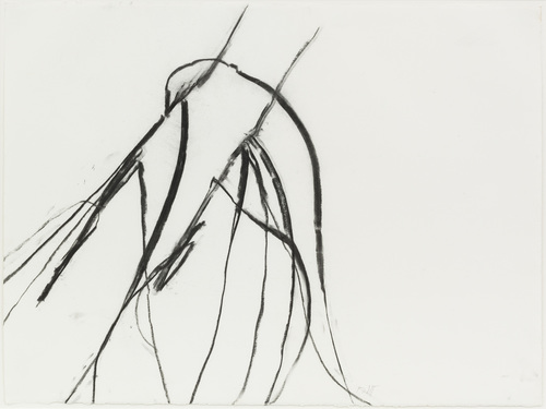 Susan Hartnett - Susan Hartnett - Nov. 25 2011 #2, Blue lyme grass (Leymus arenarius)