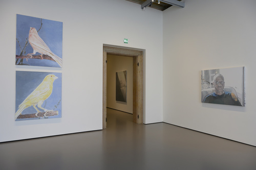 La Pelle - Installation view