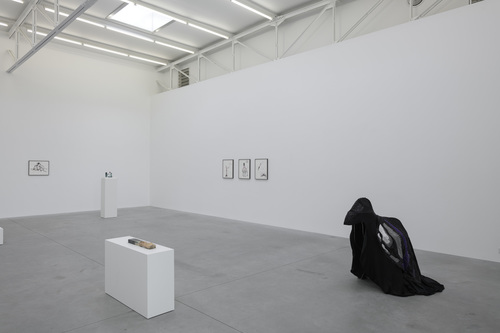 Silent Dance - Grace Schwindt - Installation view