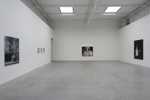 Bleeding Heart - Mircea Suciu - Installation view