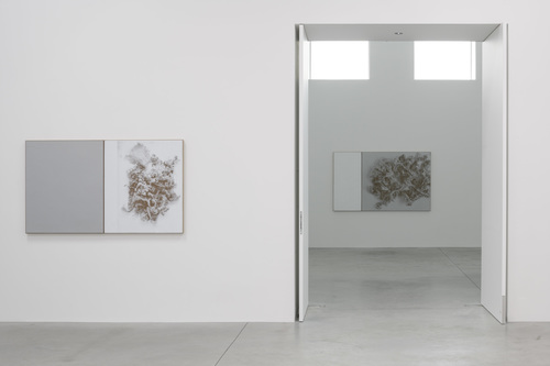 N. Dash - Installation view