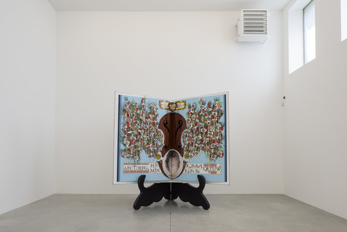 Les Loques de Chagrin - Installation view