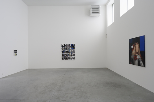 Bleeding Heart - Mircea Suciu - Installation view
