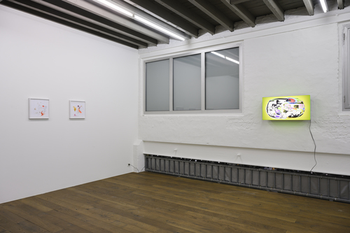 Placenta Saturnine Bercail - Installation view