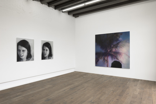 Raoul De Keyser, Johannes Kahrs, Mark Manders, Mircea Suciu, Patrick Van Caeckenbergh - 