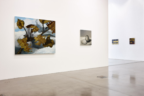 Pots, lapin, fenêtres, fleurs - Installation view