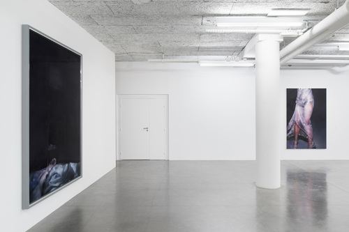 Then, maybe, the explosion of a star - Installation view