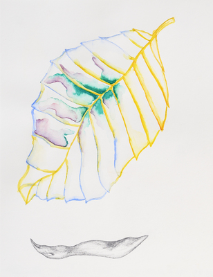 Lacuna - Grace Schwindt - Leaf and Figure