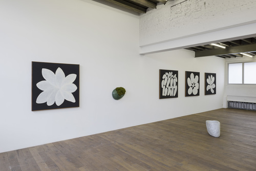 Off Road - Installation view