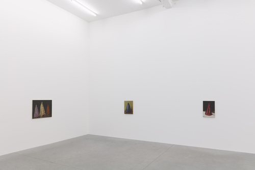 Coloured Cones - Michaël Borremans - Installation view